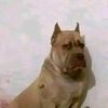 oscar.palacio558