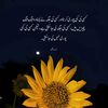 arzoo6598