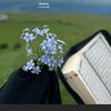 rahaf.mostafa560