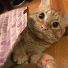 pikusozxvvi