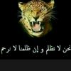 elieelie034
