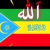 hawa1234190