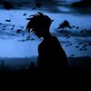 lyrics.editor12