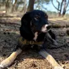 that.mutt.uma