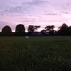 alt_e8