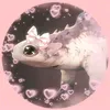 katsoiir