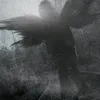 creep_677