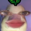 lindseydumpx