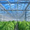Greenhouse-builder May