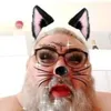 baldvar1
