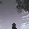 nicolas_ep