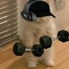 workoutabssssssss