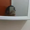 augustoslk0
