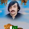 najeeb.khan9251