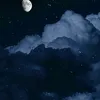 idk917074