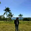 hazelfajilagutan