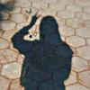 nitu.sorkar8