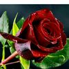 user7932471479175