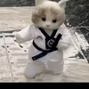zolibee_california