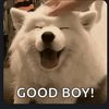 yeah_rightfoot