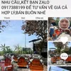 thihong8388