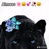 mssamrita0