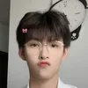 geminihunghuynhfan12