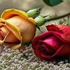 user9611176790783