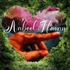nabeel.hassan6913