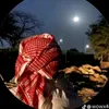 did..you1