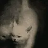 sorry_xd1