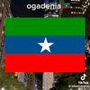 suleeqo4507457