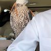 الباحه 🤍