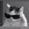 lukasdograu65