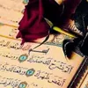 ali.hshwh7