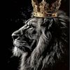 vip4336