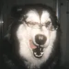tsuki.kandano