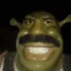 a.33343