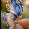 ailaferreira671