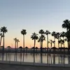 juliewooly8