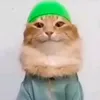 ali_botane