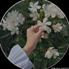 remsha5976
