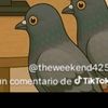 esteeselpendejininogwy