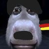 un_burro34