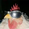 manelkkkssk