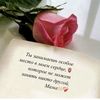 user7193248418329