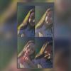 luz_16930