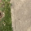 manualbarracinn