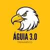 Águia 3.0