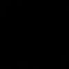 lena_yk294